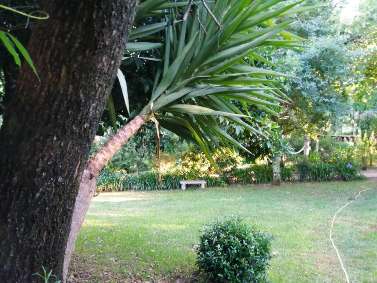 Casina Os Lueiro Villa Portas Kültér fotó