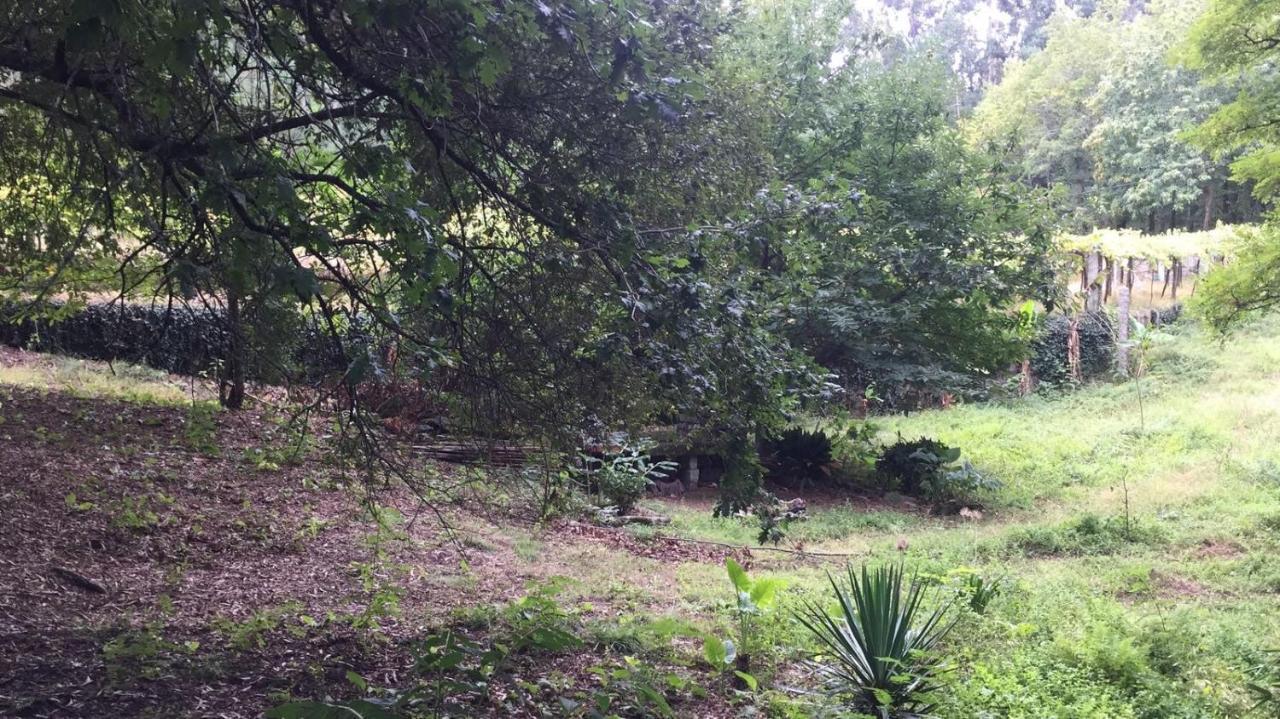 Casina Os Lueiro Villa Portas Kültér fotó